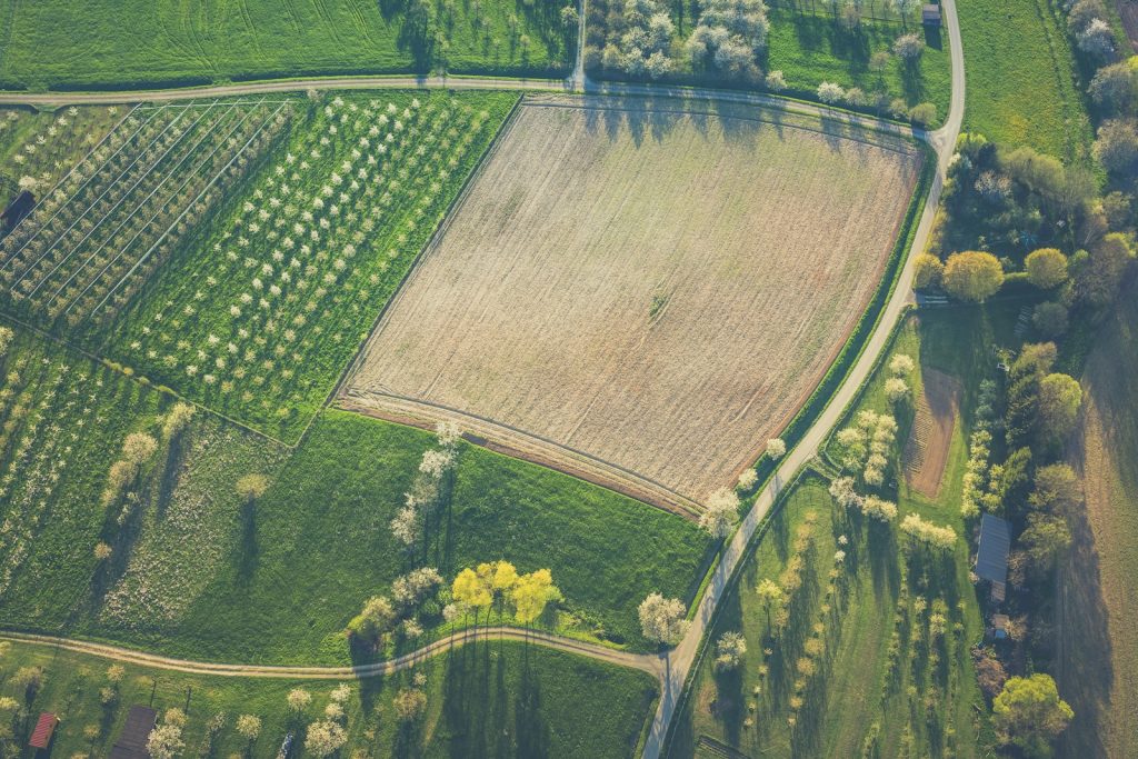Développement durable et valorisation des bio ressources : enjeux et perspectives