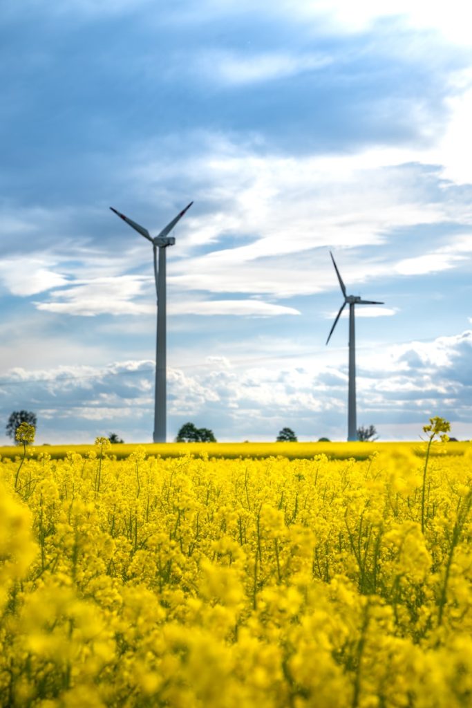 Les biopolymères: une révolution durable dans la fabrication de matériaux écologiques