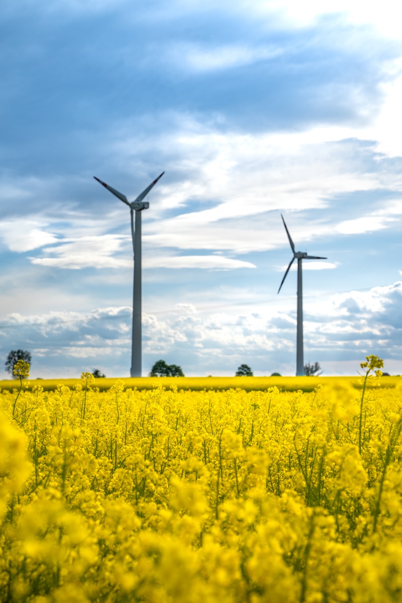Les biopolymères: une révolution durable dans la fabrication de matériaux écologiques