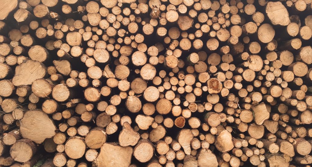 L'essor des matériau biosourcé dans la construction durable